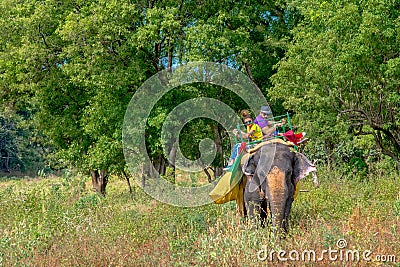 Tourists riding on an Elephant tour around Sigiriya rock Editorial Stock Photo